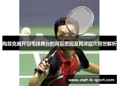 陶菲克离开羽毛球舞台的背后原因及其深层次背景解析 陶菲克离开羽毛球舞台的背后原因及其深层次背景解析