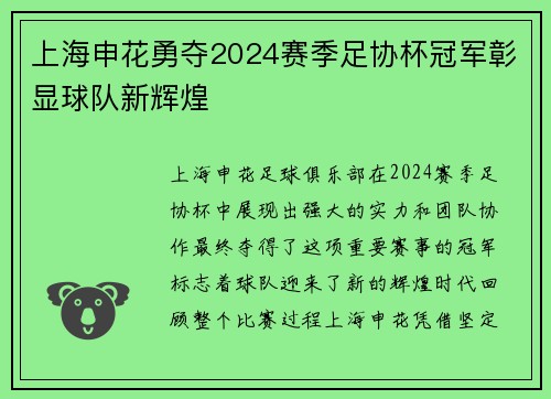 上海申花勇夺2024赛季足协杯冠军彰显球队新辉煌